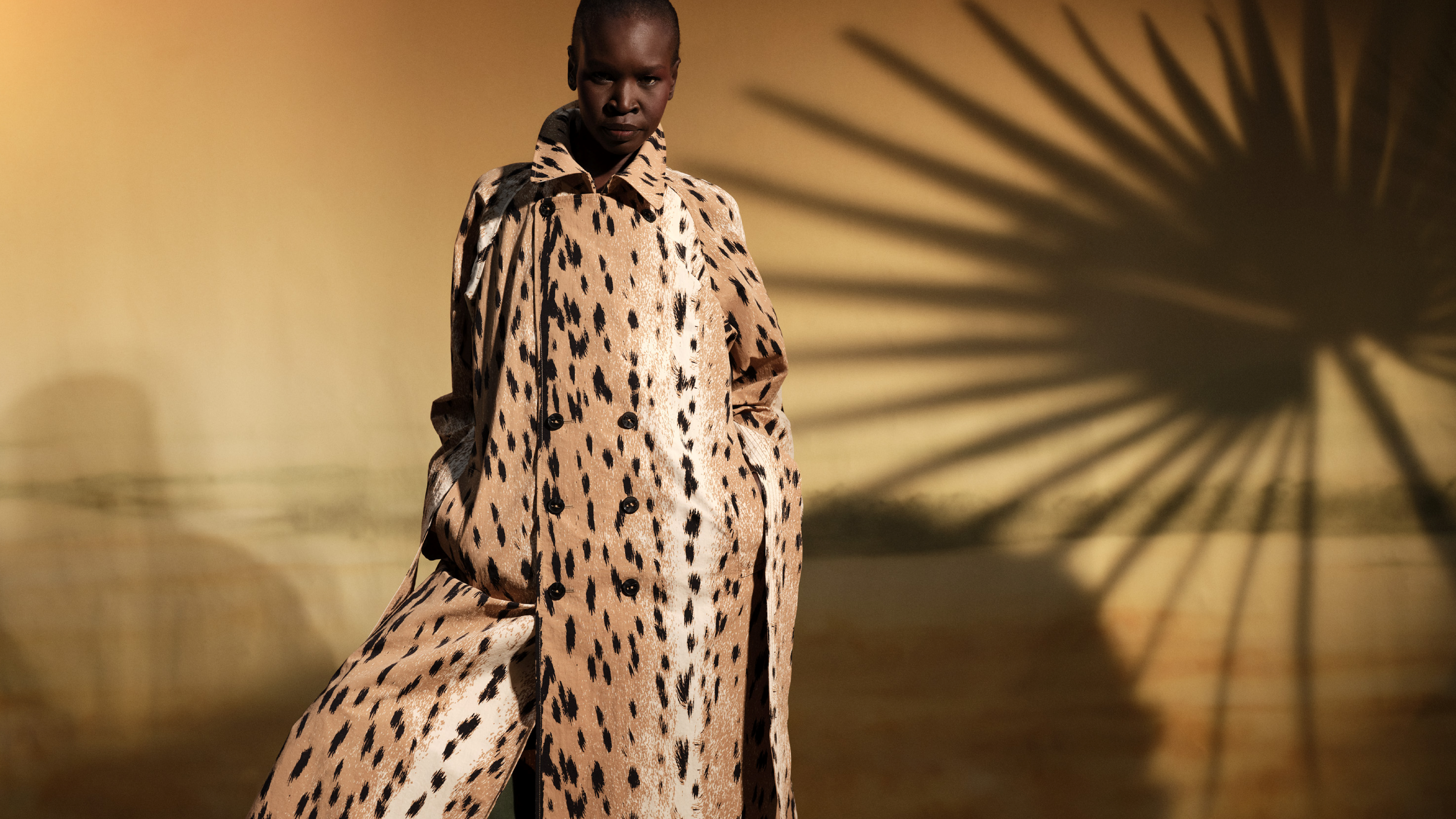 Diane Von Furstenberg US: New Arrivals - product image