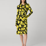 Diane Shirt Dress