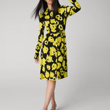 Diane Shirt Dress