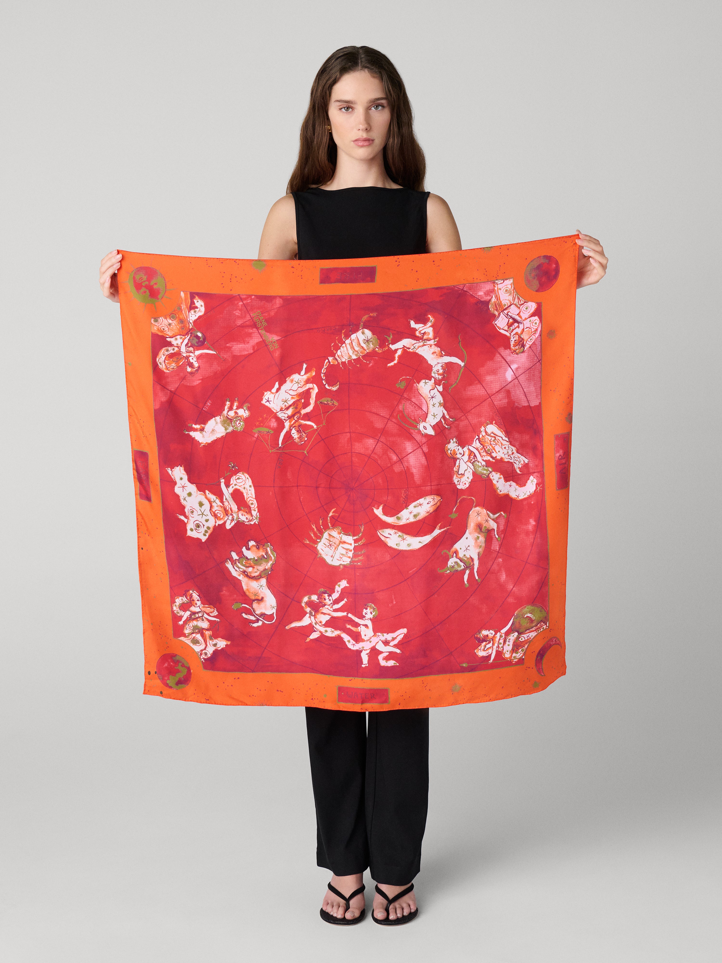 Zodiac Flag Silk Scarf – Diane von Furstenberg