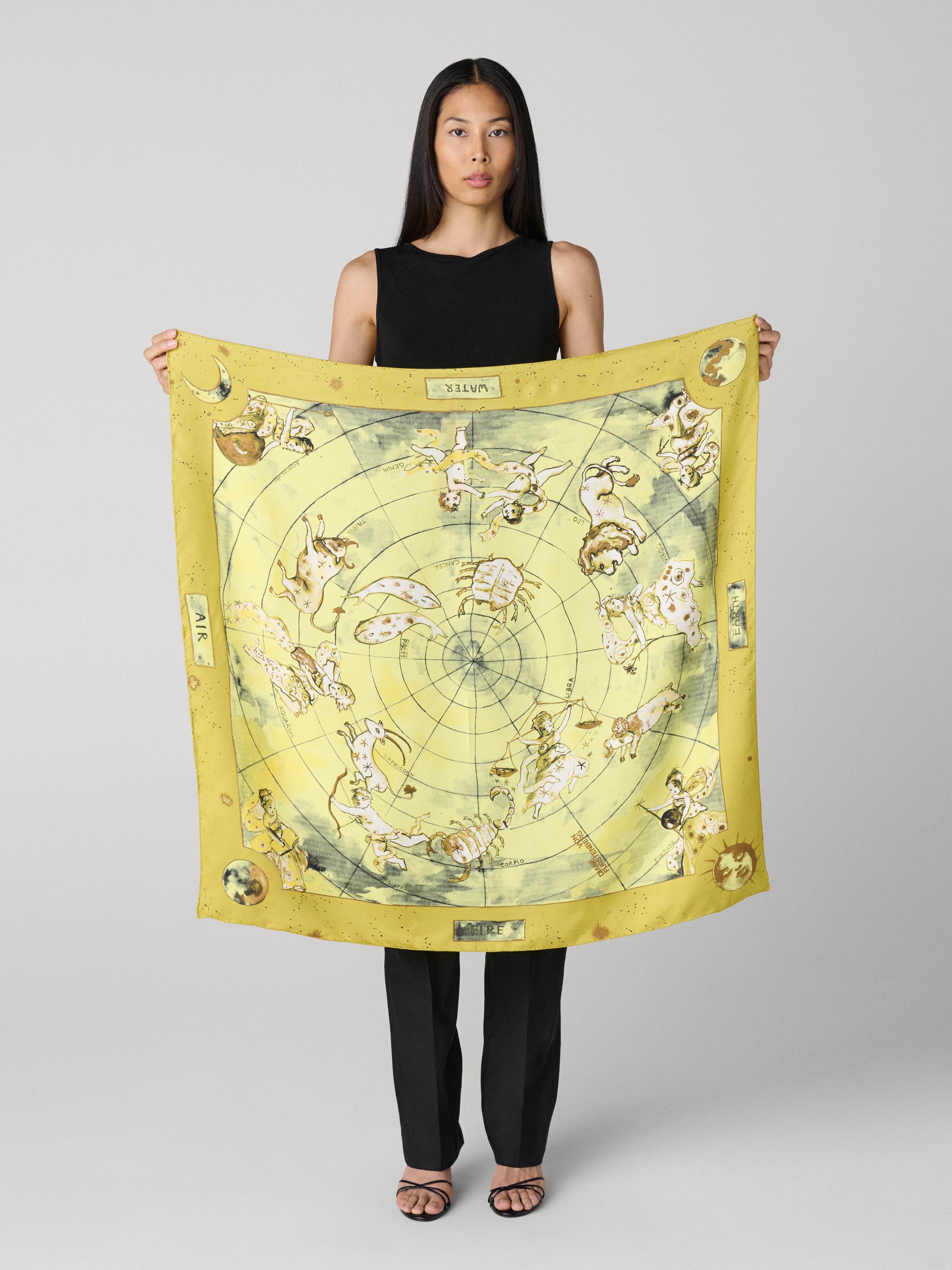 Zodiac Flag Silk Scarf – Diane von Furstenberg