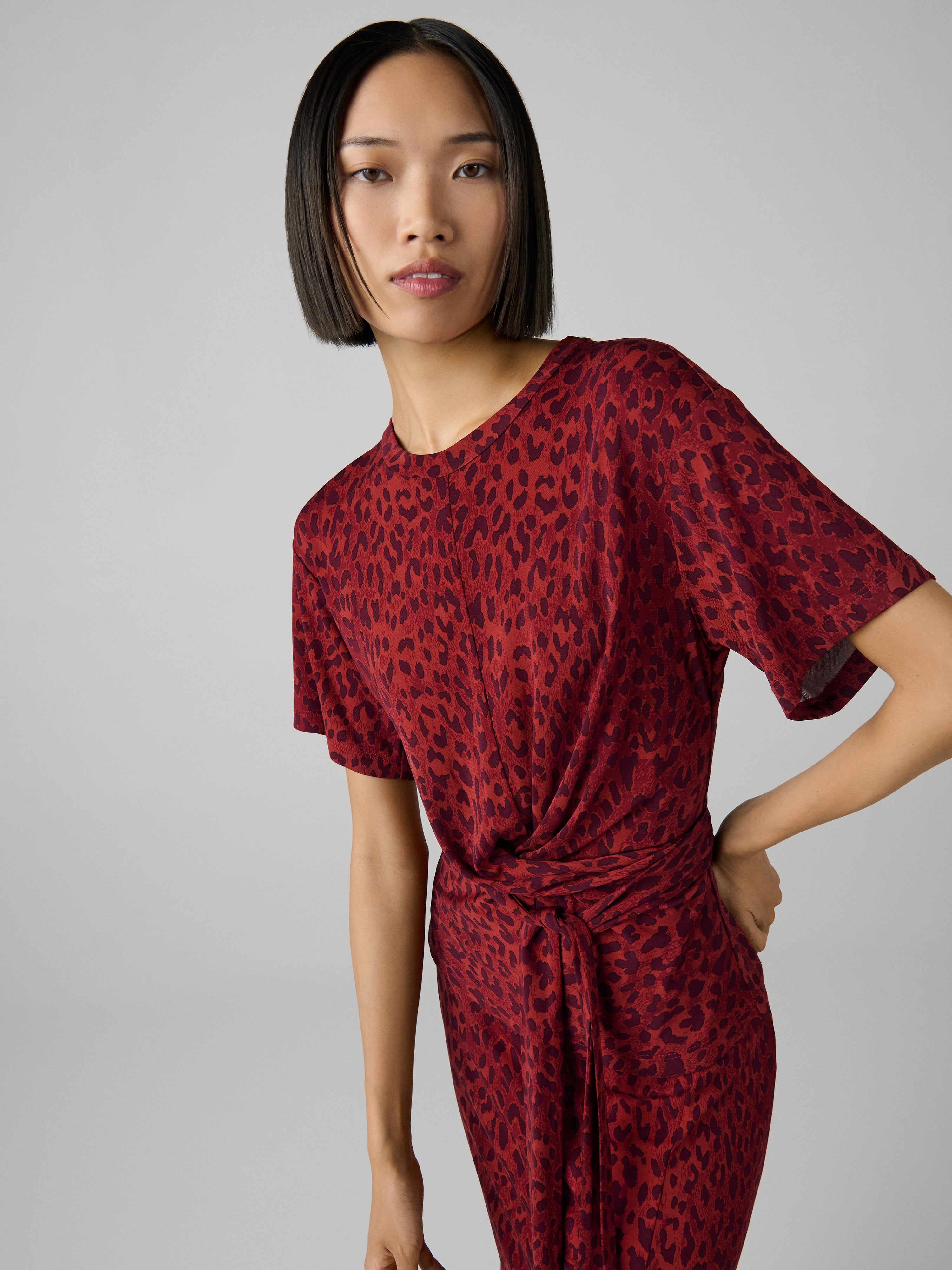 Dvf Red Leopard Print Dress Next Teressa Top – Diane Von Furstenberg