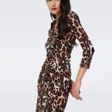 Sheska Dress
