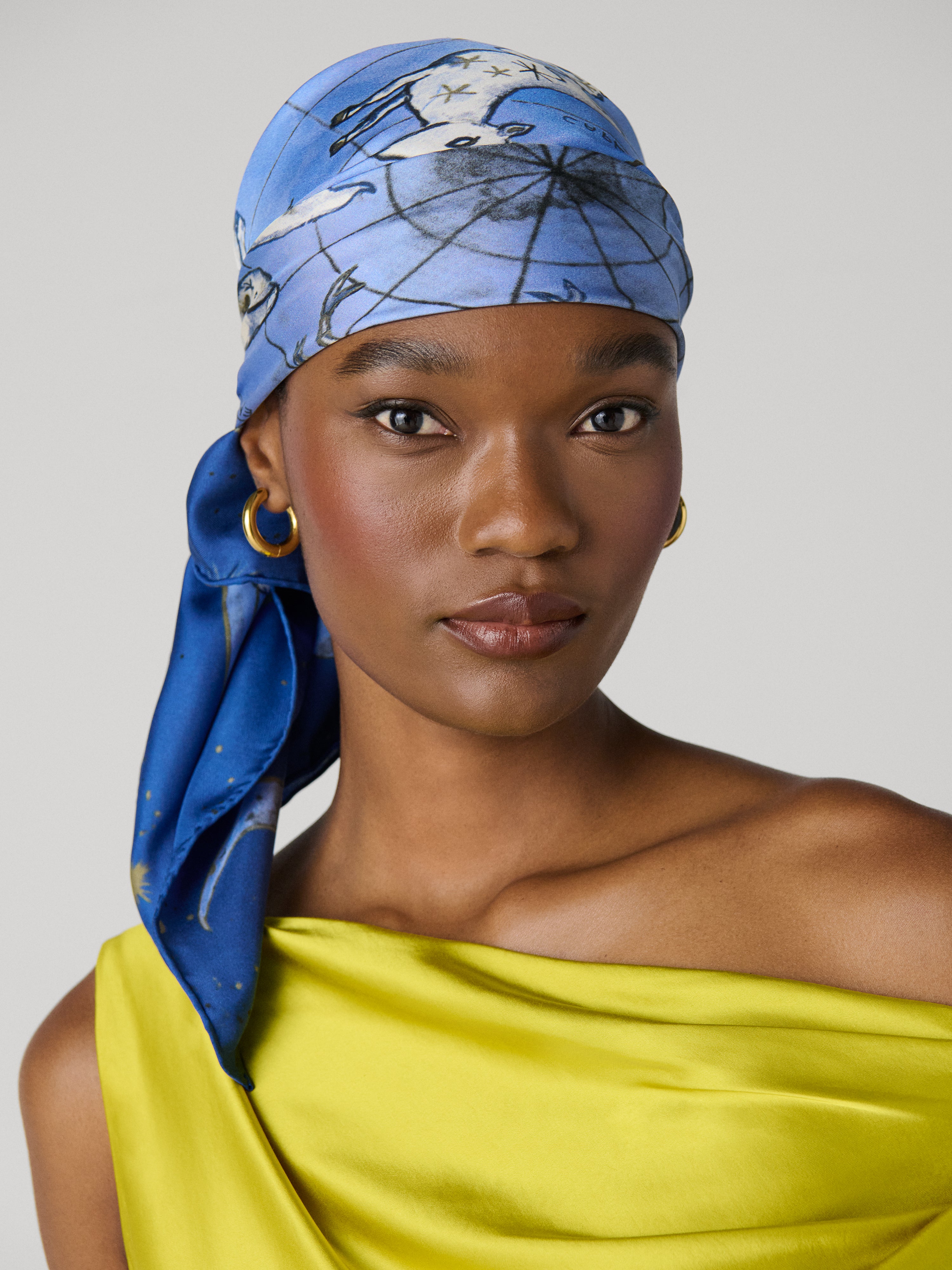 DIANE von FURSTENBERG 　 アルパカ　裏地シルク Zodiac Flag Silk Scarf – Diane von Furstenberg