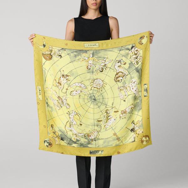 Zodiac Flag Silk Scarf – Diane von Furstenberg