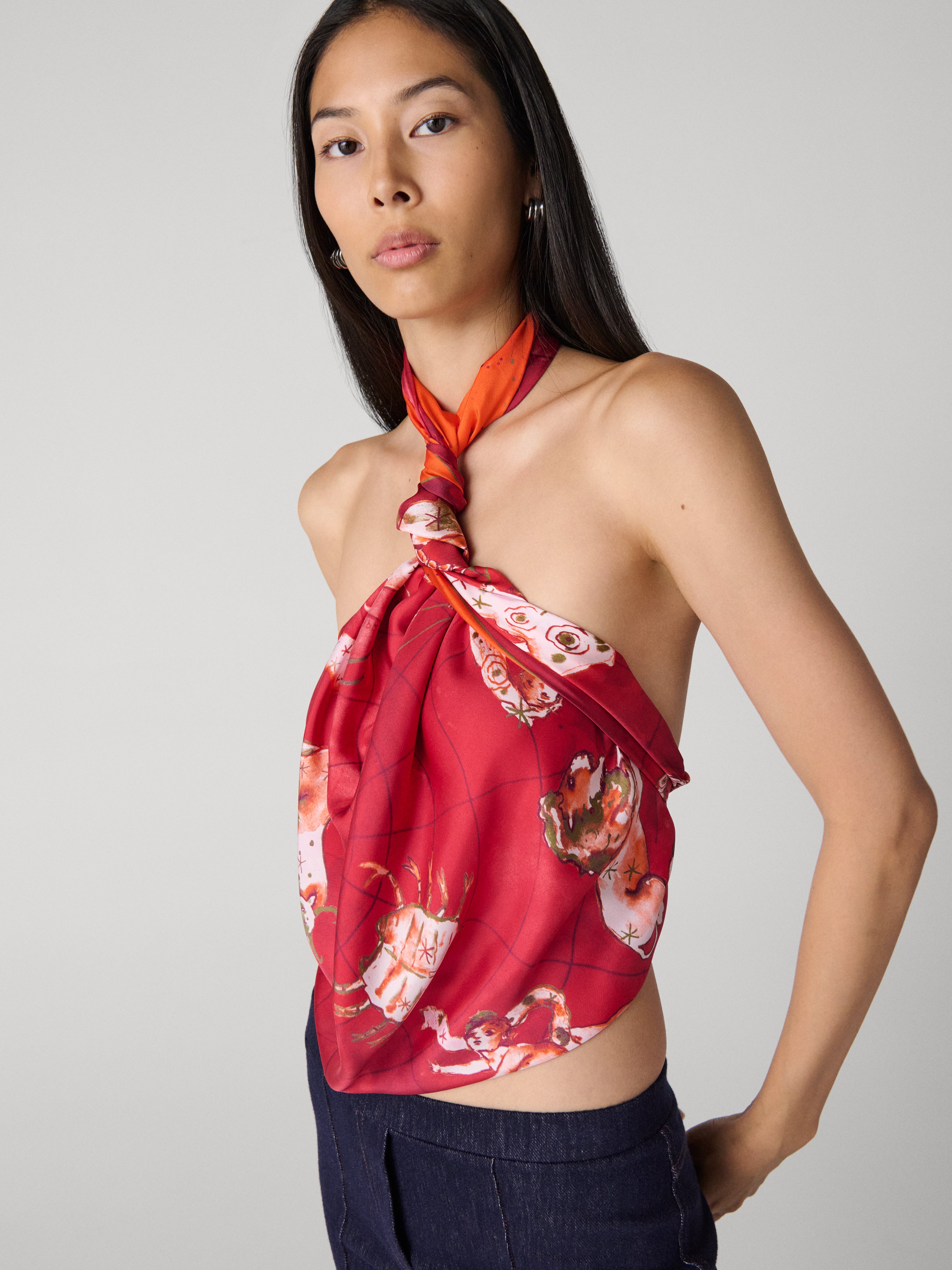 Zodiac Flag Silk Scarf – Diane von Furstenberg