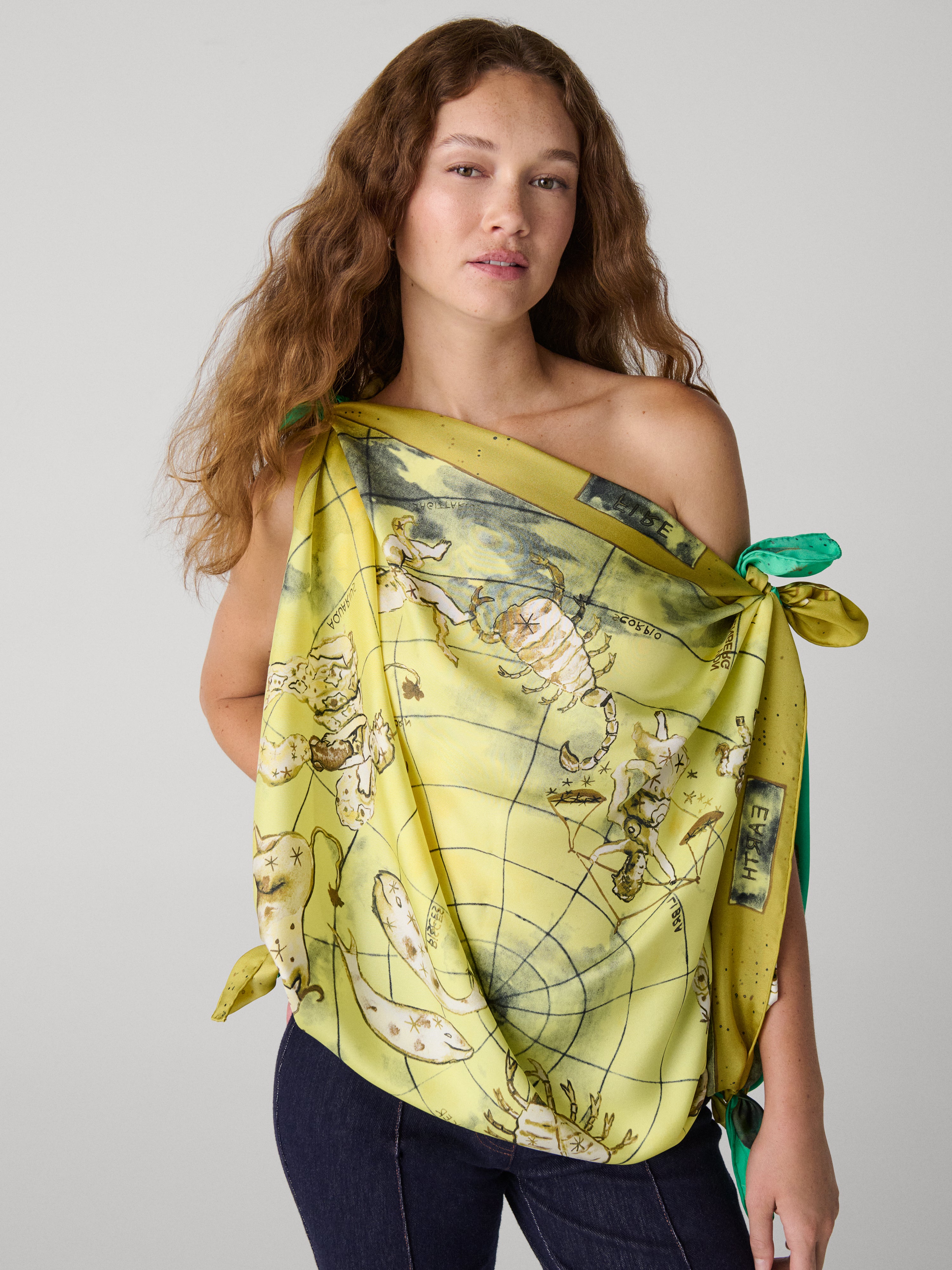 Zodiac Flag Silk Scarf – Diane von Furstenberg