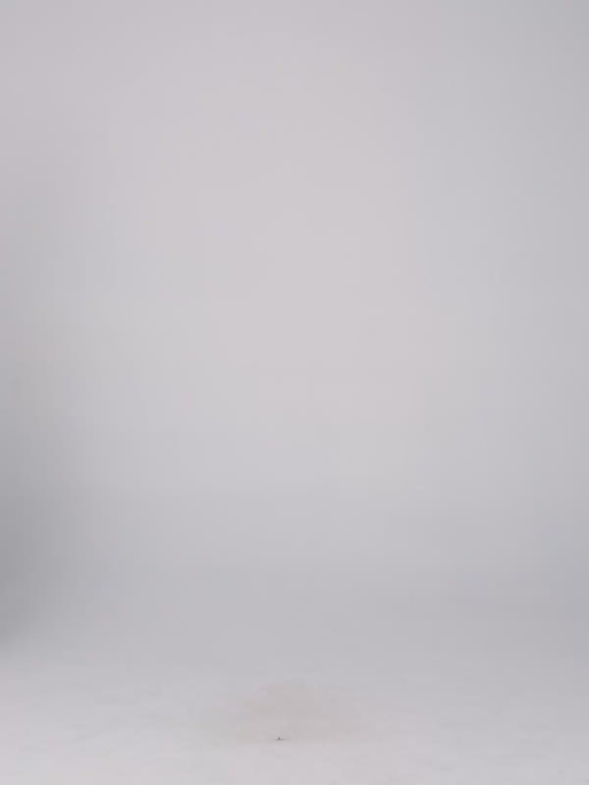 Perfect Short Sleeve Top – Diane von Furstenberg