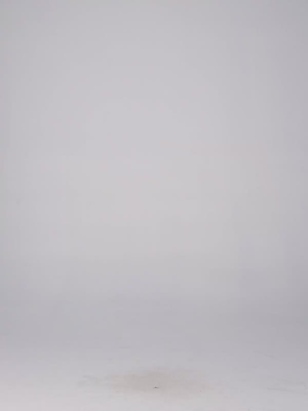 Calliope Pants – Diane von Furstenberg