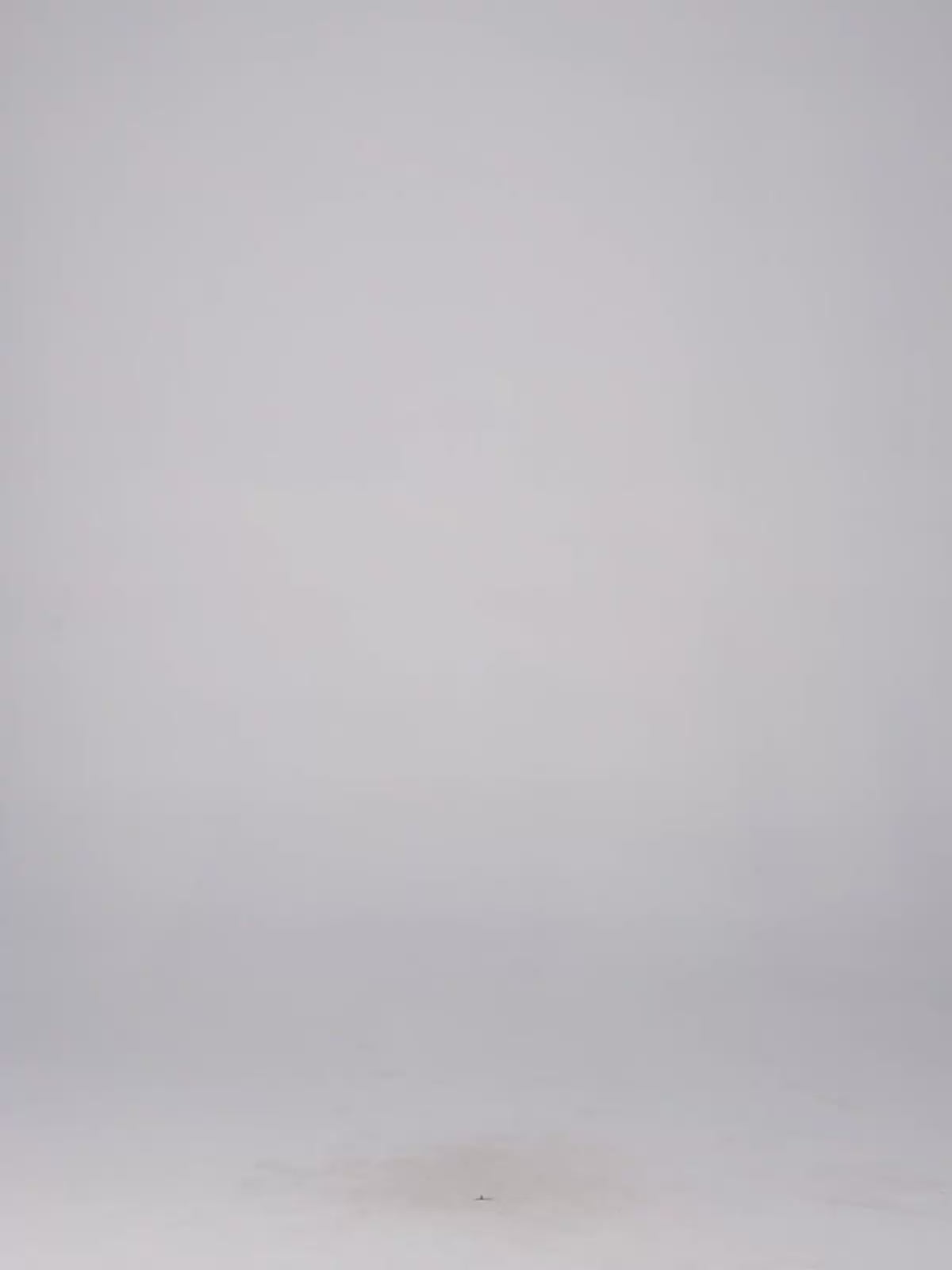 Sheskita Dress – Diane von Furstenberg